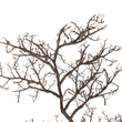 GloboStar® Artificial Garden EXTRA LARGE COLAR BRANCH 21464 Τεχνητό Διακοσμητικό Κλαδί Koράλι Y110cm