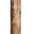 GloboStar® Artificial Garden BANANA TREE 21500 Τεχνητό Διακοσμητικό Δέντρο Μπανανιάς Υ300cm