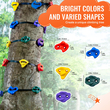 VEVOR Ninja Kit Climbing Tree 20 Tree Climbing Hold 6 Ratchet Straps Outdoor