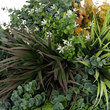 GloboStar® Artificial Garden VARIOUS PLANTS ROUND WALL DISC 20688 Τεχνητό Διακοσμητικό Στρογγυλό Πάνελ Φυλλωσιάς - Κάθετος Κήπος Μιξ Μ50 x Π50 x Υ23cm