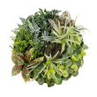GloboStar® Artificial Garden VARIOUS PLANTS ROUND WALL DISC 20691 Τεχνητό Διακοσμητικό Στρογγυλό Πάνελ Φυλλωσιάς - Κάθετος Κήπος Μιξ Μ60 x Π60 x Υ20cm