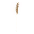 GloboStar® Artificial Garden PAMPAS GRASS 21217 Αποξηραμένο Διακοσμητικό Γρασίδι Πάμπας Μ10 x Π10 x Υ150cm