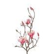GloboStar® Artificial Garden WHITE - PINK MAGNOLIA 21416 Τεχνητό Διακοσμητικό Κλαδί Ροζ Μανόλια Μ30 x Π13 x Υ110cm
