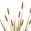 GloboStar® Artificial Garden TYPHA GRASS 21484 Τεχνητό Διακοσμητικό Φυτό Γρασίδι της Τύφας Μ100 x Π35 x Υ180cm