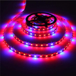 101269 1m Ταινία LED Grow Light Άνθησης & Ανάπτυξης Φυτών 6W/m 12VDC IP65