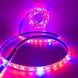 101269 1m Ταινία LED Grow Light Άνθησης & Ανάπτυξης Φυτών 6W/m 12VDC IP65