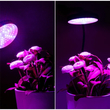 Grow Light LED Ανάπτυξης Φυτών Γλάστρας με 4 Κινούμενες Κεφαλές με Βάση Μανταλάκι