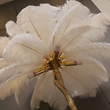 Ostrich Feather Επιτραπέζιο Φωτιστικό με πούπουλο D60