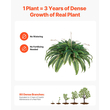 VEVOR Artificial Ferns, Natural Spread Diameter 37-41 Inch, Large Hanging Fake Boston Ferns, Sunlight Resistant Fake Plant Wall Decor with 80 Branches and Flowerpot, Faux Fern for Home Office Outdoor | VEVOR US