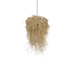 GLOBOSTAR® LIETUS 205-0079 Boho Κρεμαστό Φωτιστικό Οροφής με Ντουί 1 x E27 AC 220-240V IP20 - Μπεζ - M45 x Π45 x Υ50cm