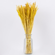 GloboStar® RISEGRASS 36506 Αποξηραμένο Φυτό Ρύζι - Μπουκέτο Διακοσμητικών Κλαδιών Μπεζ - Κίτρινο Υ60cm - Σετ 105 τμχ