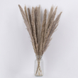 GloboStar® PAMPASGRASS 36511 Αποξηραμένο Φυτό Γρασίδι της Πάμπας - Μπουκέτο Διακοσμητικών Κλαδιών Καφέ - Γκρι Υ80cm - Σετ 10 τμχ