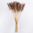 GloboStar® BROOMCORN 36555 Αποξηραμένο Φυτό Γλυκό Σόργο - Μπουκέτο Διακοσμητικών Κλαδιών Καφέ Υ100cm - Σετ 20 τμχ
