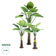 GloboStar® Artificial Garden TARO SET 20089 Τεχνητό Διακοσμητικό Σετ Φυτών Κολοκασία A:Υ300cm B:Υ210cm C:Υ160cm