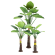 GloboStar® Artificial Garden TARO SET 20089 Τεχνητό Διακοσμητικό Σετ Φυτών Κολοκασία A:Υ300cm B:Υ210cm C:Υ160cm