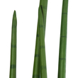 GloboStar® Artificial Garden SANSEVIERIA CYLINDRICA 20210 Τεχνητό Διακοσμητικό Φυτό Σανσεβιέρια Υ120cm