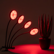 GloboStar® 79654 Grow Light Full Spectrum LED Φωτιστικό Ανάπτυξης Φυτών Γλάστρας με 4 Κινούμενες Κεφαλές & Βάση Clip SMD 2835 20W 160° DC 5V IP20 με Dimmer & Timer Εσωτερικού Χώρου για Κάλυψη Επιφάνειας 1m x 1m Πλήρους Φάσματος Φωτισμού