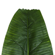 GloboStar® Artificial Garden BANANA TREE LEAF 20177 - Τεχνητό Διακοσμητικό Φύλο Μπανανιάς - Μπανανόδεντρου Π30 x Υ100cm