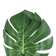 GloboStar® Artificial Garden MONSTERA LEAF 20222 - Τεχνητό Διακοσμητικό Φύλο Μονστέρας Π28 x Υ83cm