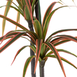 GloboStar® Artificial Garden DRAGON BLOOD TREE 20370 - Τεχνητό Διακοσμητικό Φυτό Δράκαινα Υ150cm