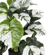 GloboStar® Artificial Garden ALBINO MONSTERA PLANT 20925 - Διακοσμητικό Φυτό Λευκή Μονστέρα Φ70 x Υ75cm