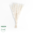 GloboStar® Artificial Garden REAL DRIED BEIGE PAMPAS GRASS BUNCH 21216 Αποξηραμένο Διακοσμητικό Μπουκέτο Pampas Μπέζ Y50cm - Σετ 15 τμχ
