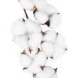 GloboStar® Artificial Garden COTTON BRANCH 20558 Τεχνητό Διακοσμητικό Κλαδί βαμβάκι Υ45cm