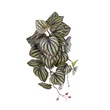 GloboStar® Artificial Garden PEPEROMIA HANGING PLANT 20602 Τεχνητό Διακοσμητικό Κρεμαστό Φυτό Πεπερόμια Υ45cm