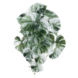 GloboStar® Artificial Garden ALBINO MONSTERA HANGING PLANT 20609 - Τεχνητό Διακοσμητικό Κρεμαστό Φυτό Μονστέρα Υ45cm