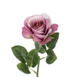 GloboStar® Artificial Garden  PINK ROSE BRANCH 21136 Τεχνητό Διακοσμητικό Κλαδί ΡοζΤριαντάφυλλο Y50cm