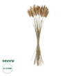 GloboStar® Artificial Garden REAL DRIED BEIGE WHEAT BUNCH  21219 Αποξηραμένο Διακοσμητικό Μπουκέτο Σιταριού Y50cm - Σετ 30 τμχ