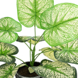 GloboStar® Artificial Garden CALADIUM 20889 Τεχνητό Διακοσμητικό Φυτό Τροπικό Καλάδιο Φ40 x Υ33cm