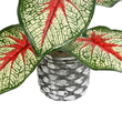 GloboStar® Artificial Garden CALADIUM 20891 Τεχνητό Διακοσμητικό Φυτό Τροπικό Φυτό Καλάδιο Φ40 x Υ33cm