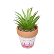 GloboStar® Artificial Garden AIR PLANT NEOPHYTUM POTTED PLANT 21043 Διακοσμητικό Φυτό Νεόφυτο Φ12 x Υ15cm