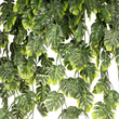 GloboStar® Artificial Garden MONSTERA HANGING PLANT 20633 Τεχνητό Κρεμαστό Διακοσμητικό Φυτό Φτέρης Π40 x Μ40 x Y88cm