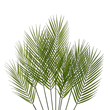 GloboStar® Artificial Garden Green PALMLEAF BRANCH 21155 Τεχνητό Διακοσμητικό Κλαδί Φοίνικα Πράσινο Y90cm