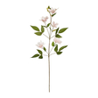 GloboStar® Artificial Garden PALE PINK CLEMANTIS BRANCH 21332 Τεχνητό Διακοσμητικό Κλαδί Ροζ Κλημεντίνα Y80cm