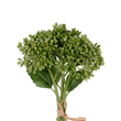 GloboStar® Artificial Garden GREEN HYACINTH BOUQUET 21354 Τεχνητό Διακοσμητικό Μπουκέτο Πράσινος Υάκυνθος Y30cm