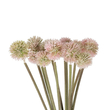 GloboStar® Artificial Garden PALE PINK DANDELION BOUQET 21361 Τεχνητό Διακοσμητικό Ταραξάκο Μπουκέτο Y54cm