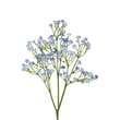 GloboStar® Artificial Garden BLUE BRANCH BABY BREATH 21296 Τεχνητό Διακοσμητικό Κλαδί Μπλέ Γυψοφίλης Y53cm