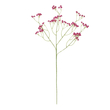 GloboStar® Artificial Garden PINK BRANCH BABY BREATH 21368 Τεχνητό Διακοσμητικό Κλαδί Ροζ Γυψοφίλης Y61cm