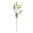 GloboStar® Artificial Garden GREEN IRON THREAD BRANCH 21372 Τεχνητό Διακοσμητικό Κλαδί Πράσινο Ασπιδίστρα  Y57cm