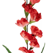 GloboStar® Artificial Garden RED GLADIOLUS FLOWER BRANCH 21396 Τεχνητό Διακοσμητικό Κλαδί Γλαδιόλα Y116cm