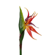GloboStar® Artificial Garden ORANGE STELIZIA BRANCH 21399 Τεχνητό Διακοσμητικό Κλαδί  Πορτοκαλί Στρελίτζια Y82cm