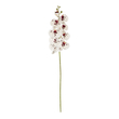 GloboStar® Artificial Garden WHITE ORCHID BRANCH 21406 Τεχνητό Διακοσμητικό Κλαδί Λευκή Ορχιδέα Y95cm