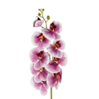 GloboStar® Artificial Garden PINK ORCHID BRANCH 21407 Τεχνητό Διακοσμητικό Κλαδί Ροζ Ορχιδέα Y95cm