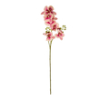 GloboStar® Artificial Garden CHAMPAGNE PINK ORCHID  BRANCH 21411 Τεχνητό Διακοσμητικό Κλαδί Σαμπανί Ορχιδέα Y70cm