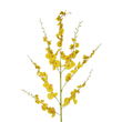 GloboStar® Artificial Garden YELLOW DANCE ORCHID BRANCH 21414 Τεχνητό Διακοσμητικό Κλαδί Κίτρινη Ορχιδέα Y110cm