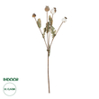 GloboStar® Artificial Garden POPPY FRUIT BRANCH 21433 Τεχνητό Διακοσμητικό Κλαδί Παπαρούνα Y60cm
