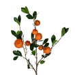 GloboStar® Artificial Garden ORANGE FRUIT BRANCH 21435 Τεχνητό Διακοσμητικό Κλαδί Πορτακαλιά Y83cm